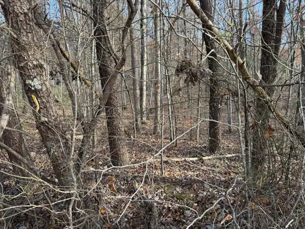 Newport, TN 37821,Lot 39 Hummingbird LN