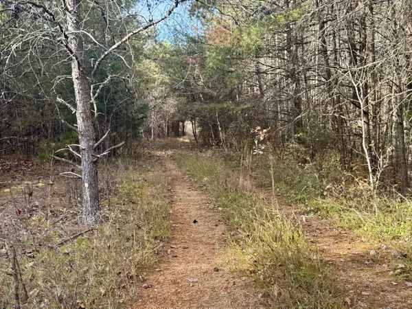 Parrottsville, TN 37843,000 Sun Hill Way WAY