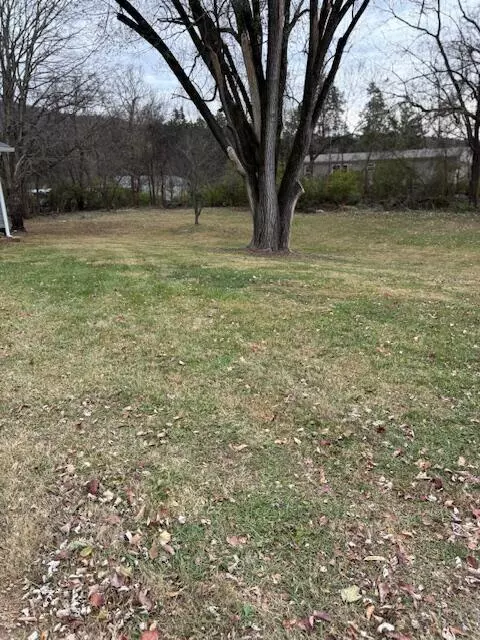 Bean Station, TN 37708,171 Ellis ST