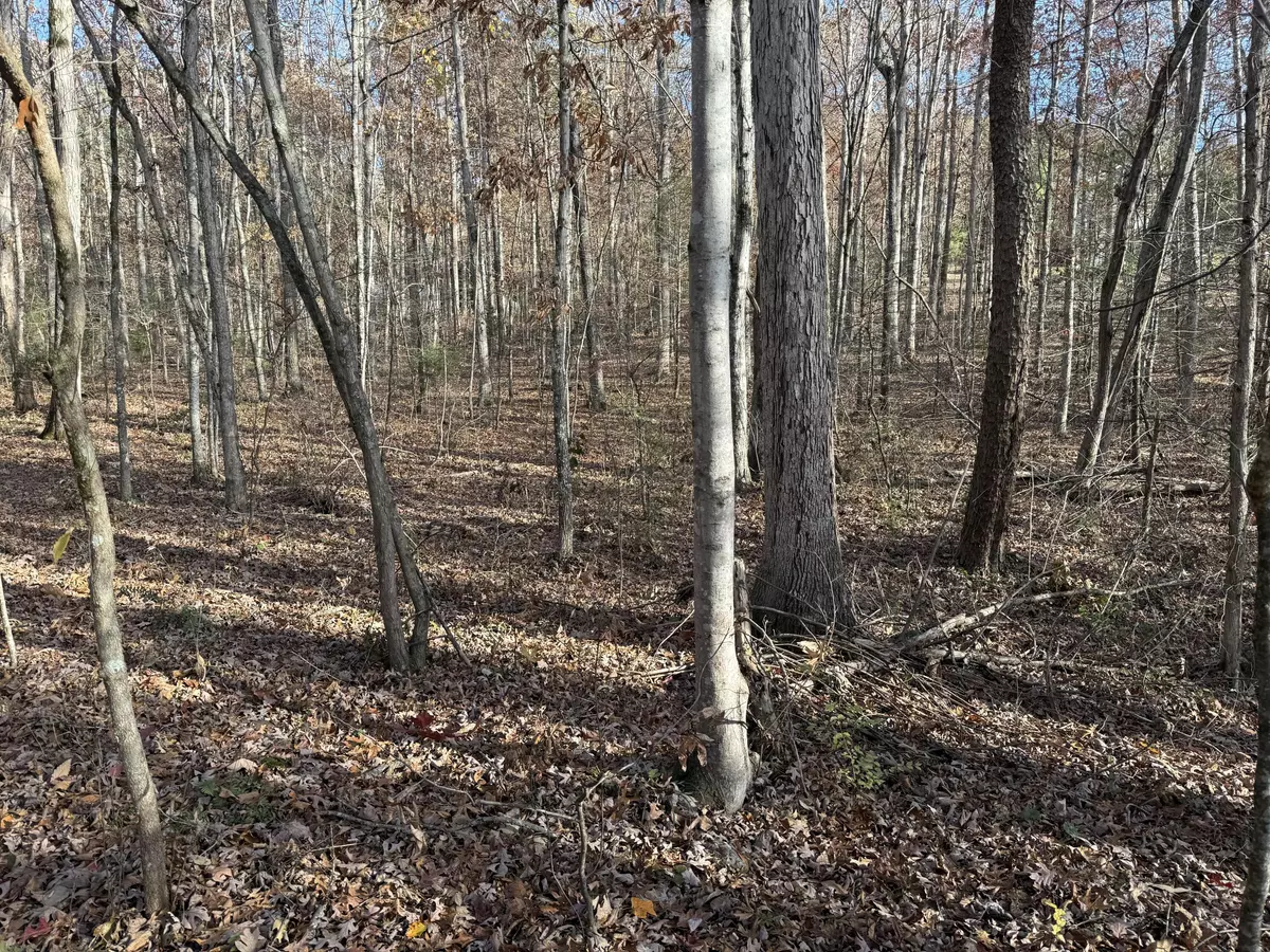 Newport, TN 37821,Lot 40 Hummingbird LN