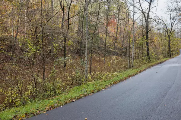 Sevierville, TN 37876,TBD Evans Chapel Rd