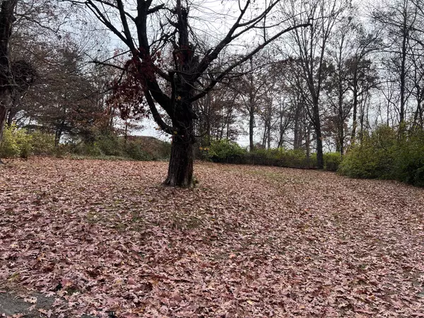 Morristown, TN 37814,308 Branner ST