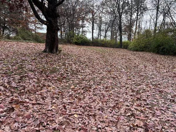 Morristown, TN 37814,308 Branner ST