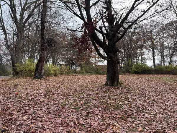 Morristown, TN 37814,308 Branner ST