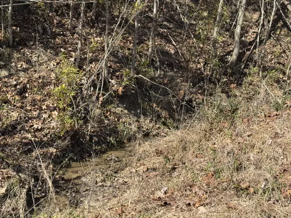 Bulls Gap, TN 37711,0 whitehorn rd