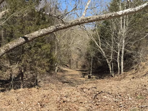 Bulls Gap, TN 37711,0 whitehorn rd