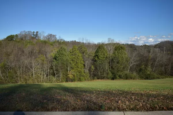 lot 4 Constitution Drive, Dandridge, TN 37725