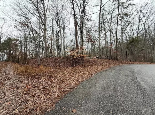 Lot #845 Stoneway CT, White Pine, TN 37890