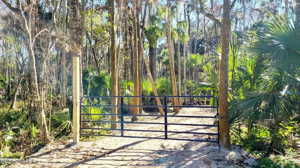 New Smyrna Beach, FL 32168,2246 Magnolia DR