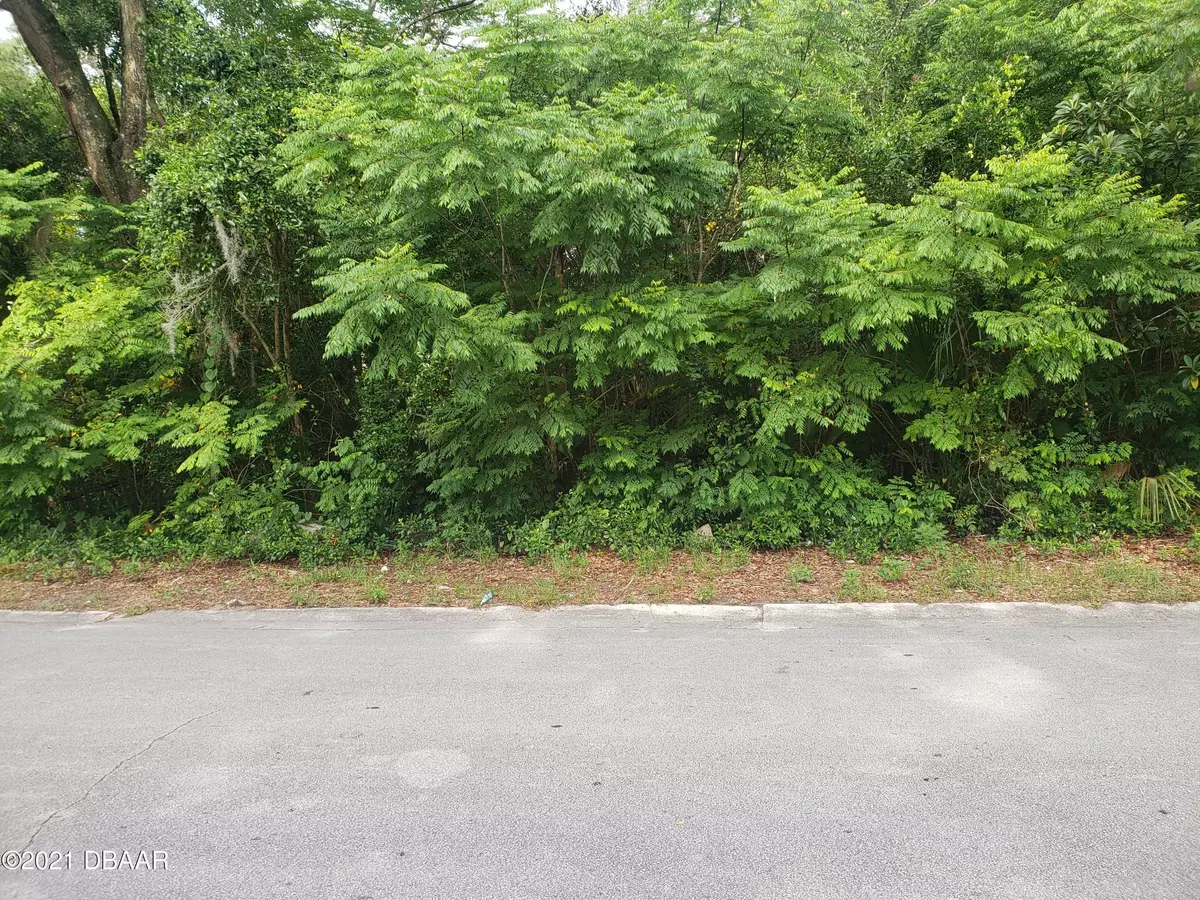 Deland, FL 32720,0  Lot 24 Parsons AVE