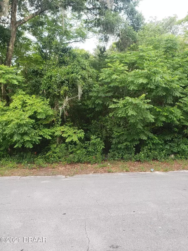 Deland, FL 32720,0  Lot 24 Parsons AVE