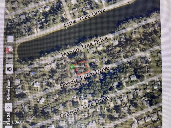 Edgewater, FL 32141,0 Needle Palm DR