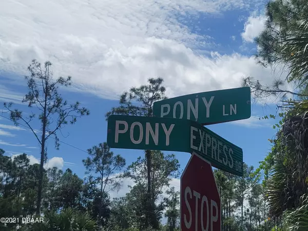 Palm Coast, FL 32164,5 Pony LN