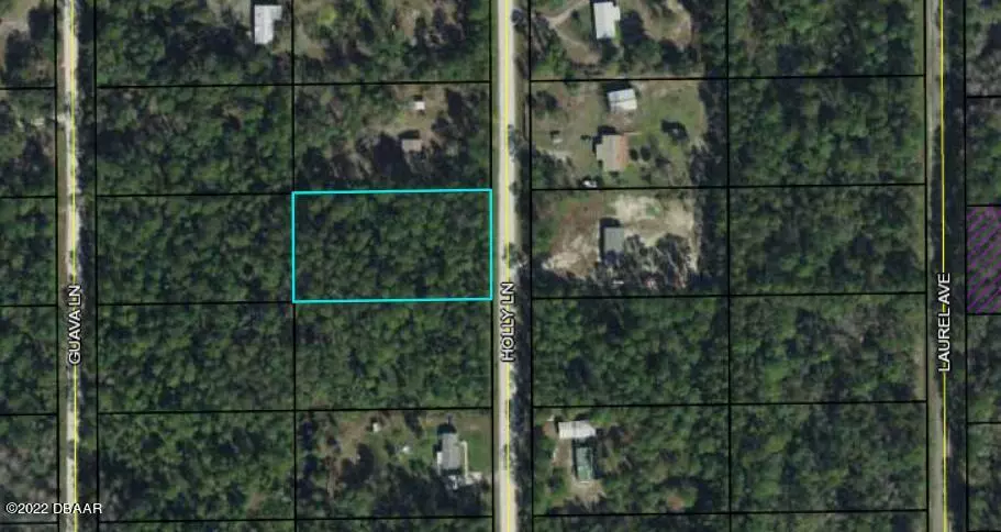 Bunnell, FL 32110,2122 Holly LN