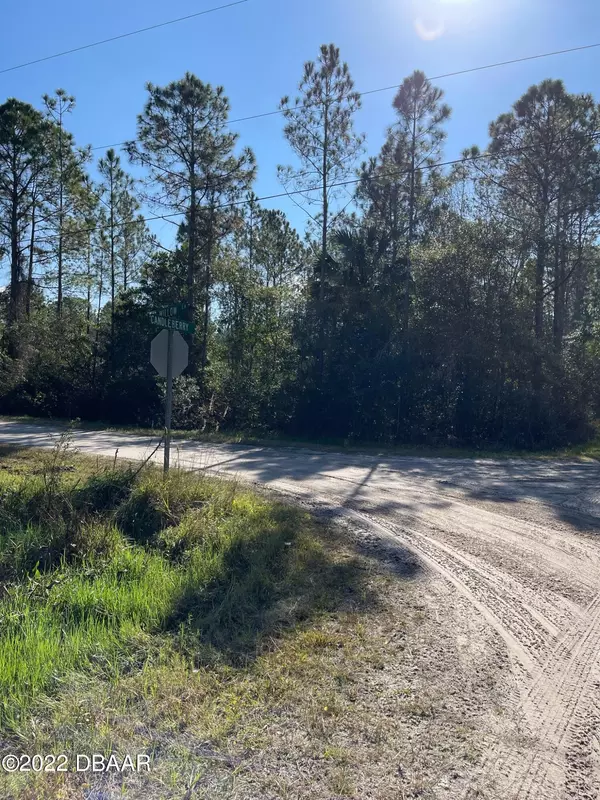 Bunnell, FL 32110,5313 Willow LN