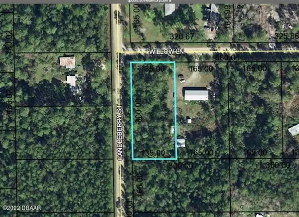 Bunnell, FL 32110,5313 Willow LN