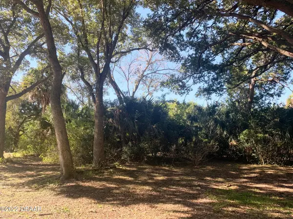 102 Oceanview AVE, Ponce Inlet, FL 32127