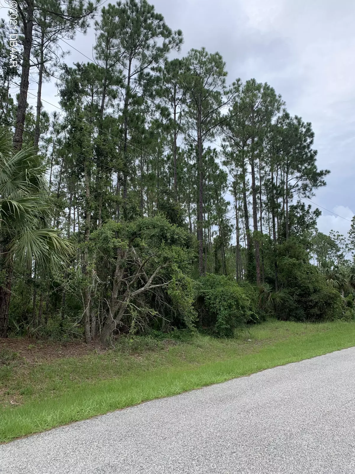 Palm Coast, FL 32164,37 Squash Blossom TRL