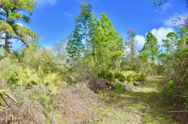 Deland, FL 32720,0 Ponderosa AVE