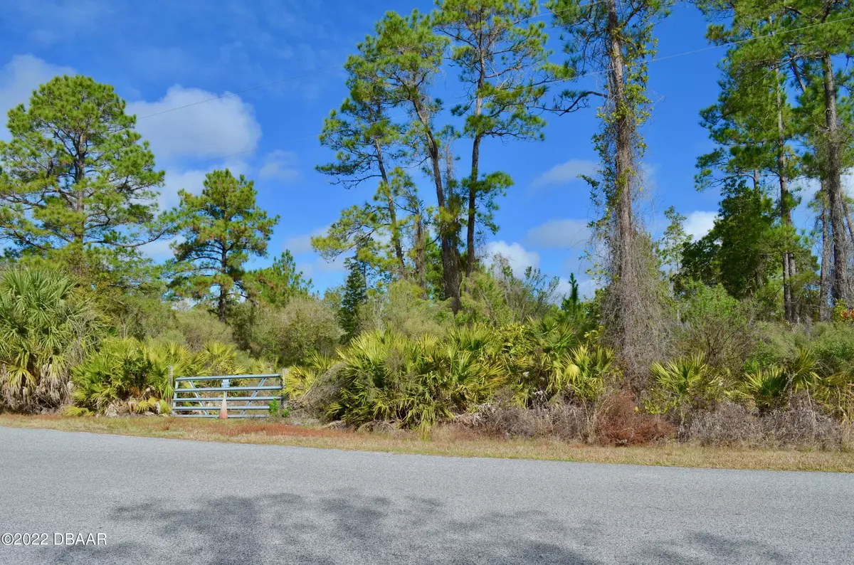 Deland, FL 32720,0 Ponderosa AVE