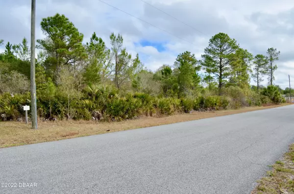 Deland, FL 32720,0 Ponderosa AVE