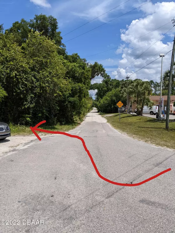 Deland, FL 32724,0 Greenes Lane (Adjacent)