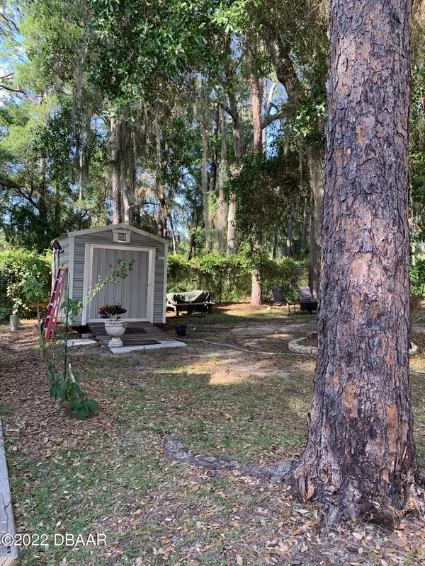 Salt Springs, FL 32134,14378 NE 251ST CIR