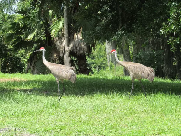 Deltona, FL 32725,1896 Normandy BLVD