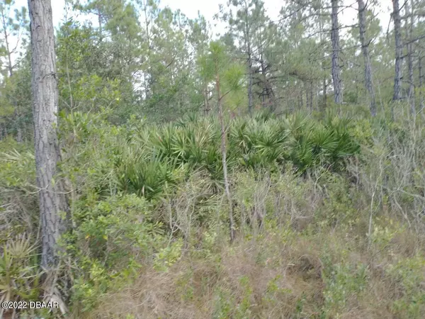 New Smyrna Beach, FL 32168,0 Hunting Camp Road