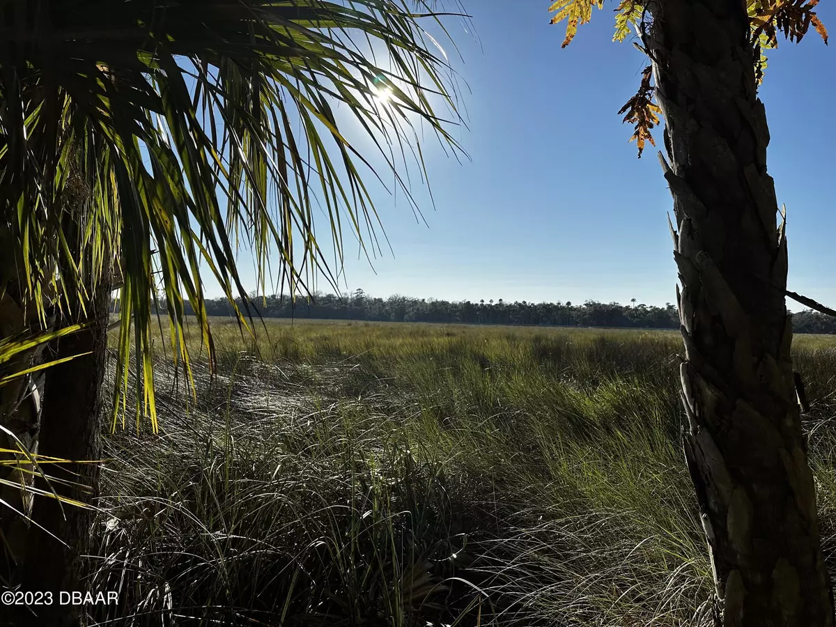 Flagler Beach, FL 32136,5496 John Anderson HWY