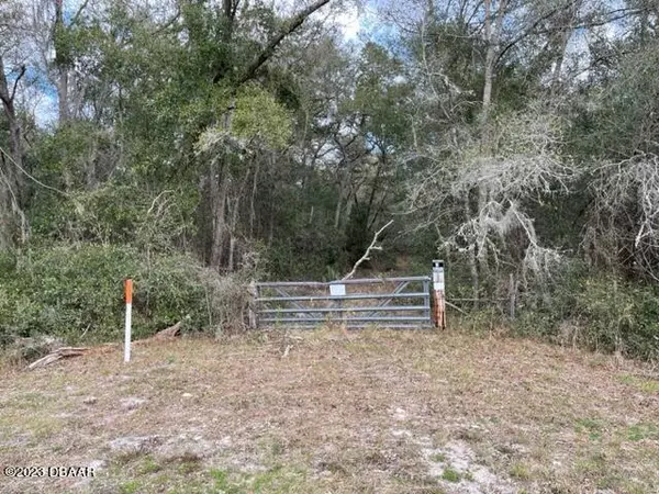 Deleon Springs, FL 32130,6165 State Road 11