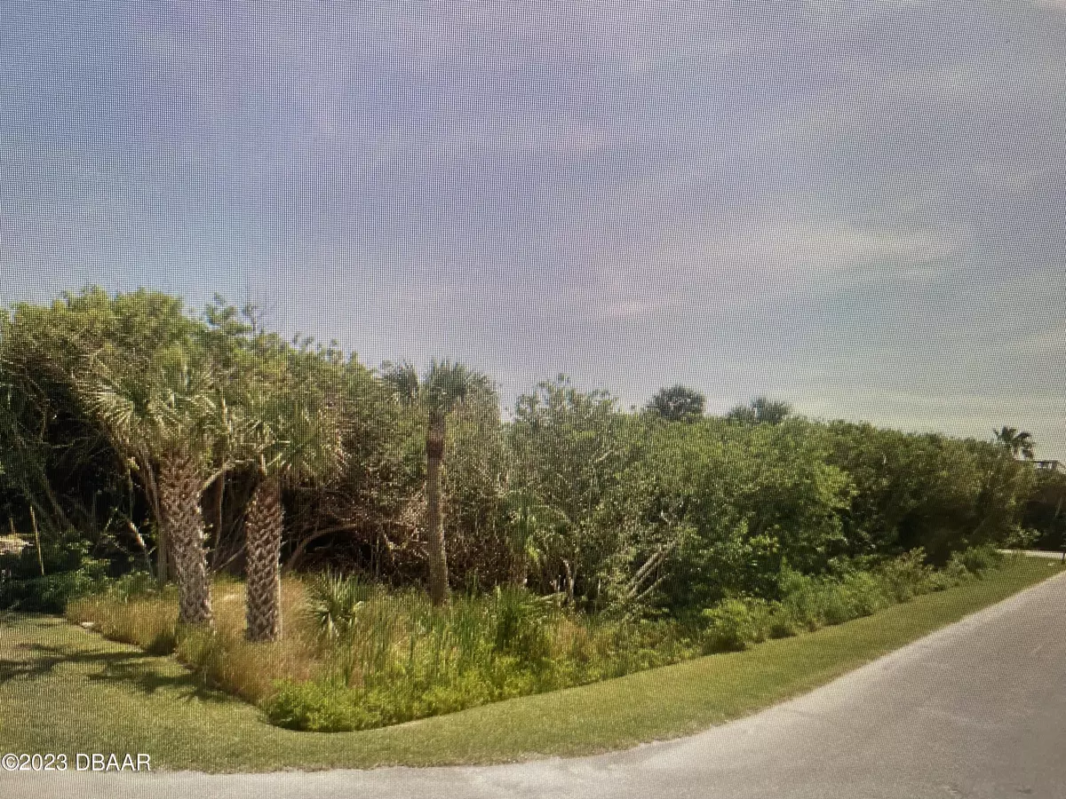 New Smyrna Beach, FL 32169,6300 Engram RD