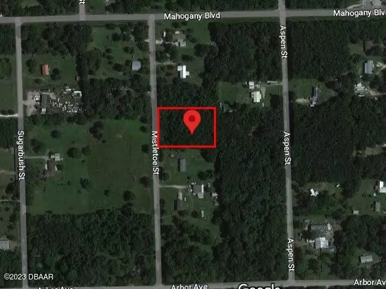 1605 Mistletoe ST, Bunnell, FL 32110