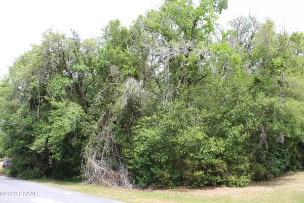 Ocala, FL 34473,0 SW 45th CIR