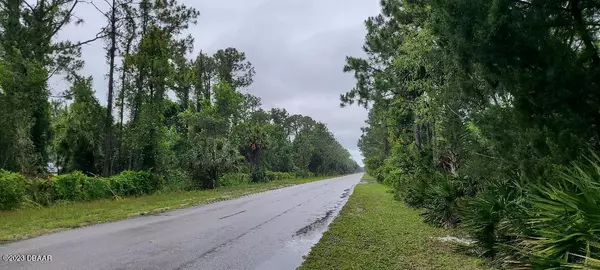 Ormond Beach, FL 32174,491 Pineland TRL