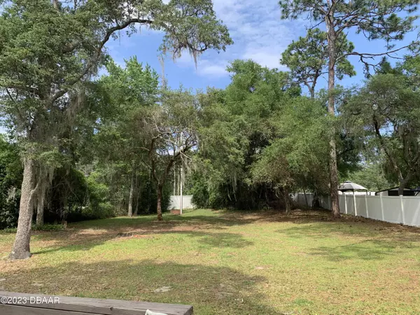 Salt Springs, FL 32134,14417 NE 252nd LOT 133A CT RD