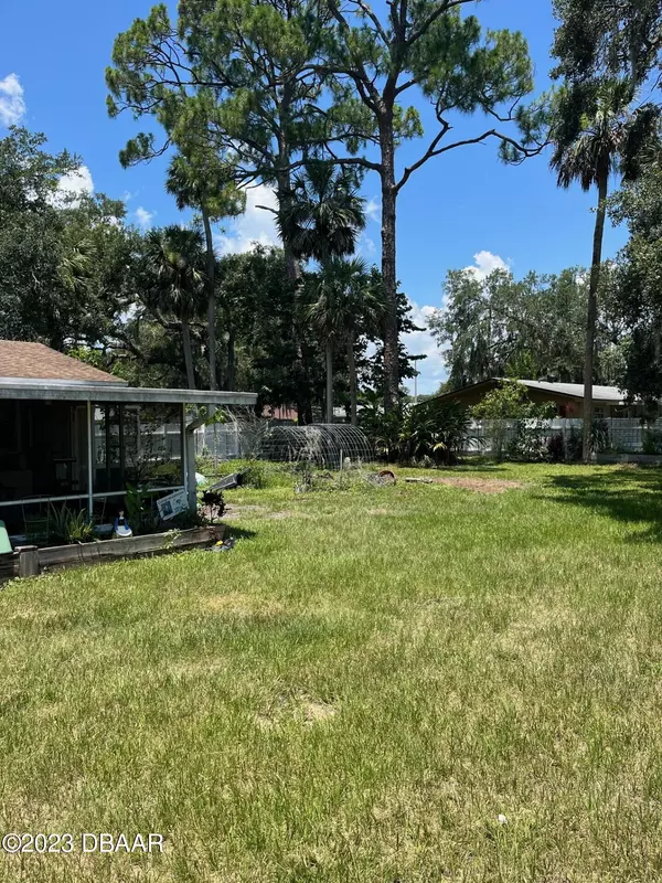 Edgewater, FL 32141,1869 Needle Palm DR