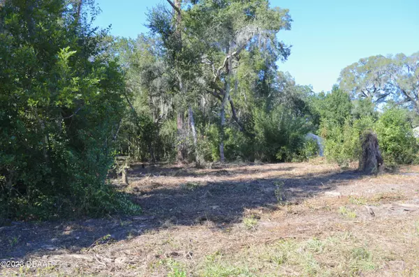 Orange City, FL 32763,0 Racine RD