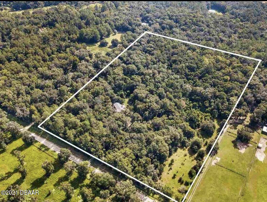 21305 86th AVE, Micanopy, FL 32667