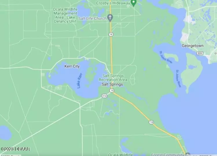 Salt Springs, FL 32134,25338 25338 NE 140th LOT 300 ST