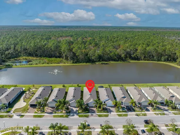 New Smyrna Beach, FL 32168,208 Caryota CT