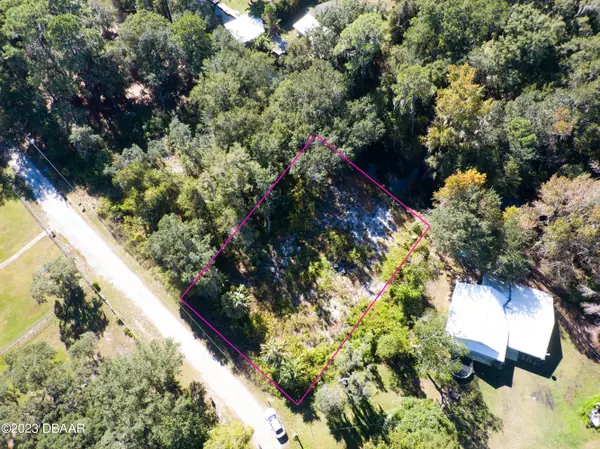 0 303rd Court Road, Salt Springs, FL 32134