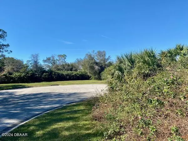 Port Orange, FL 32127,825 Pheasant Run CT