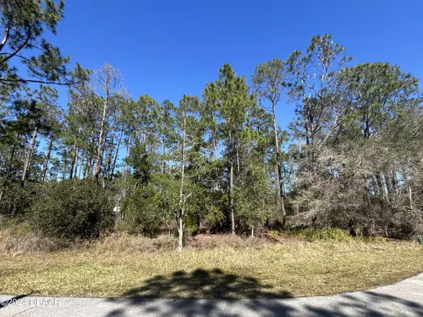 Palm Coast, FL 32164,3 Kayne CT