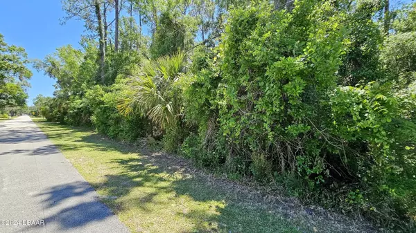 New Smyrna Beach, FL 32168,0 James ST