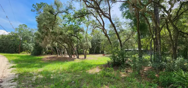 Interlachen, FL 32148,151 Violet CIR