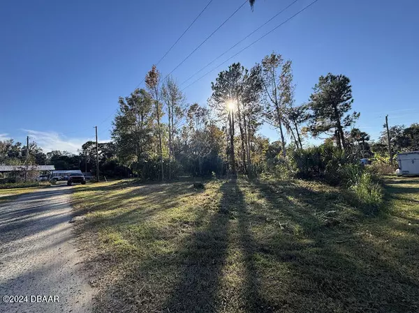 Salt Springs, FL 32134,LOT 3 NE 307 CT