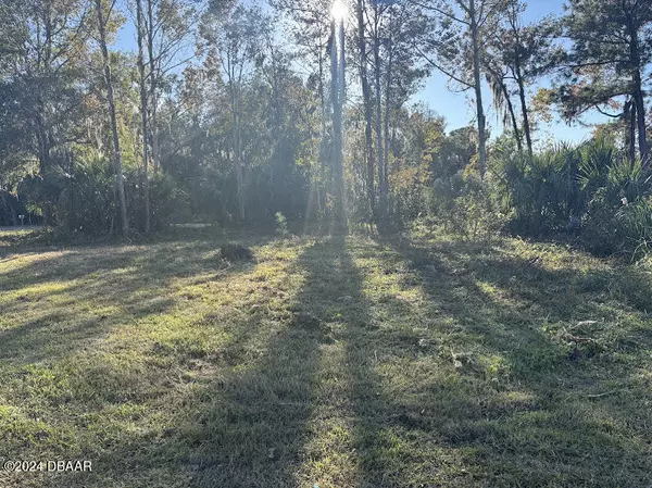 Salt Springs, FL 32134,LOT 3 NE 307 CT