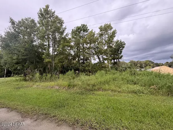 Salt Springs, FL 32134,LOT 3 NE 307 CT