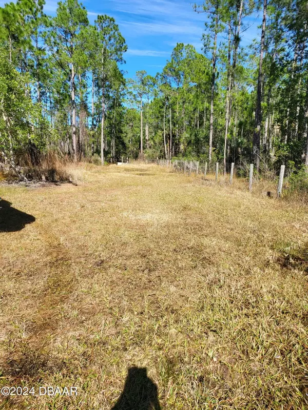 New Smyrna Beach, FL 32168,0 Hunting Camp RD